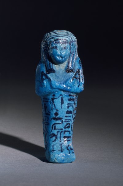 Figurina iscritta per il sacerdote di Amon, Amenemope e Shawabti dalla Tomba 148, Tebe, Nuovo Regno, c.1193-1080 a.C. (dettaglio) da Egyptian 20th Dynasty